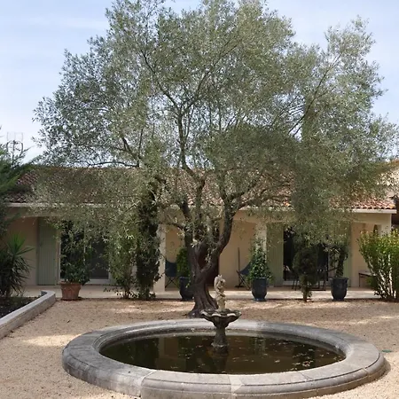 D'hotes Sous L'olivier 3* Montpellier