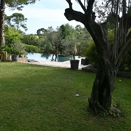 D'hotes Sous L'olivier 3* 蒙彼利埃